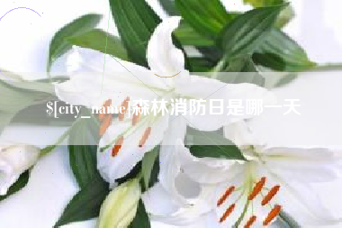 梨树县森林消防日是哪一天