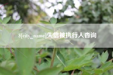 梨树县失信被执行人杳询