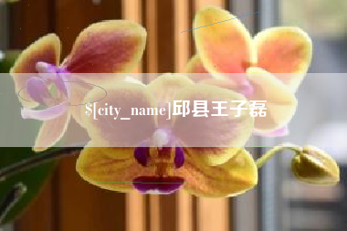 梨树县邱县王子磊