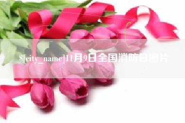 梨树县11月9日全国消防日图片