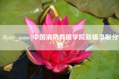 梨树县中国消防救援学院新疆录取分数