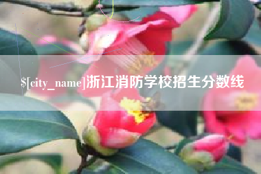 梨树县浙江消防学校招生分数线