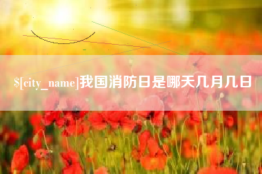 梨树县我国消防日是哪天几月几日