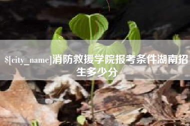 梨树县消防救援学院报考条件湖南招生多少分