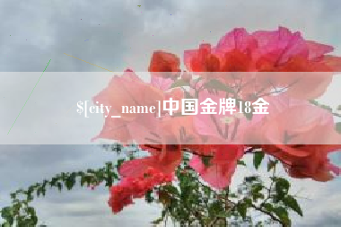 梨树县中国金牌18金