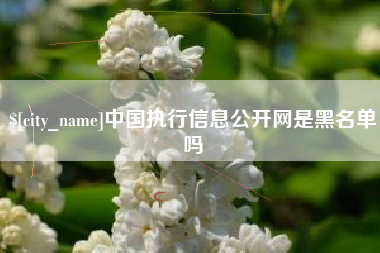 梨树县中国执行信息公开网是黑名单吗