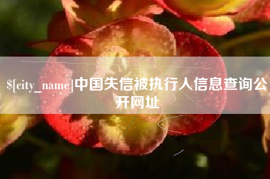 梨树县中国失信被执行人信息查询公开网址
