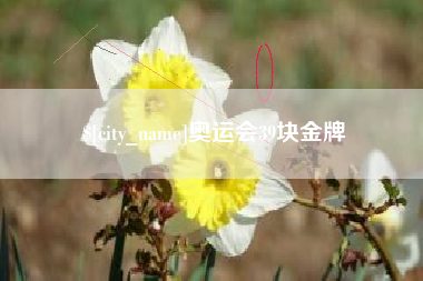 梨树县奥运会39块金牌