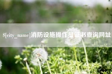 梨树县消防设施操作员证书查询网址