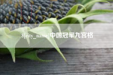 梨树县中国冠军九宫格
