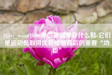 梨树县5000米世界冠军穿什么鞋-它们是运动员取得优异成绩背后的重要“功臣”