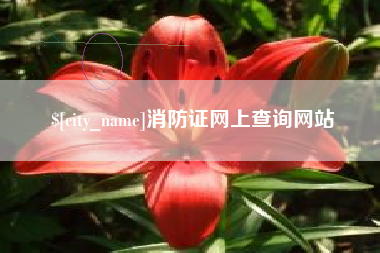 梨树县消防证网上查询网站