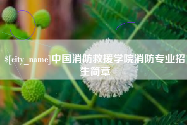梨树县中国消防救援学院消防专业招生简章