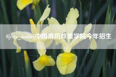 梨树县中国消防救援学院今年招生