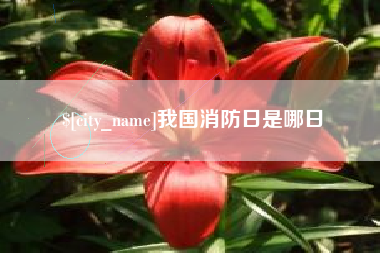 梨树县我国消防日是哪日