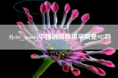 梨树县中国消防救援学院是985吗
