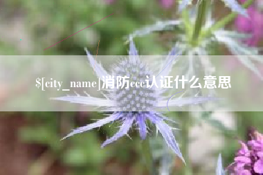 梨树县消防ccc认证什么意思