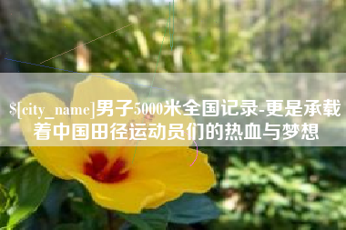 梨树县男子5000米全国记录-更是承载着中国田径运动员们的热血与梦想