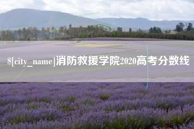 梨树县消防救援学院2020高考分数线