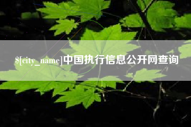 梨树县中国执行信息公开网查询