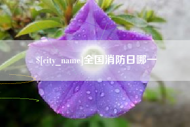 梨树县全国消防日哪一