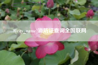 梨树县消防证查询全国联网