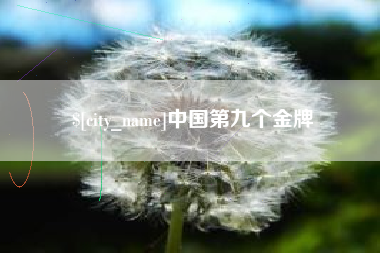 梨树县中国第九个金牌