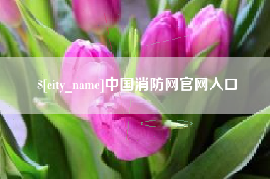 梨树县中国消防网官网入口