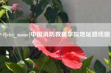 梨树县中国消防救援学院地址路线图