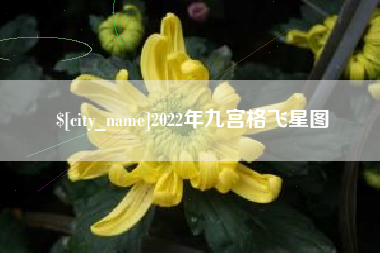梨树县2022年九宫格飞星图