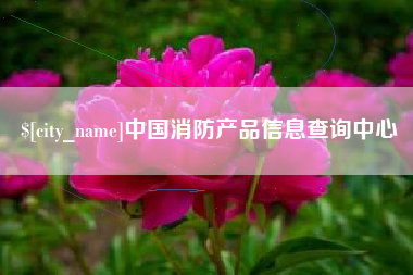 梨树县中国消防产品信息查询中心
