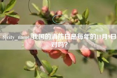 梨树县我国的消防日是每年的11月9日对吗？