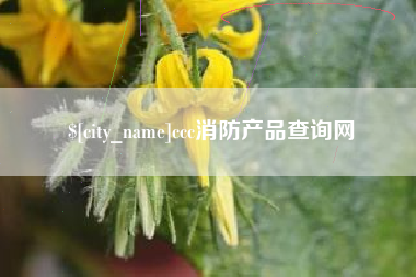 梨树县ccc消防产品查询网
