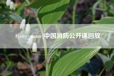 梨树县中国消防公开课回放