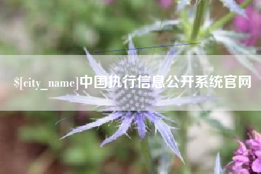 梨树县中国执行信息公开系统官网