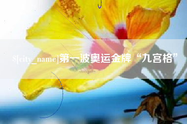 梨树县第一波奥运金牌“九宫格”