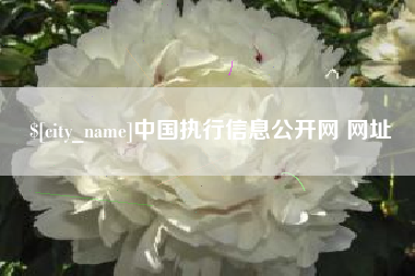 梨树县中国执行信息公开网 网址