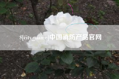 梨树县中国消防产品官网