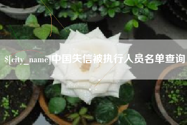 梨树县中国失信被执行人员名单查询