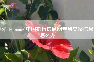梨树县中国执行信息网查到立案信息怎么办