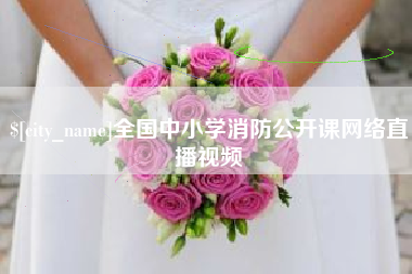 梨树县全国中小学消防公开课网络直播视频