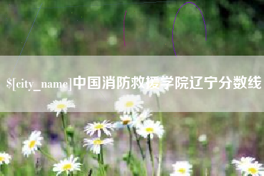 梨树县中国消防救援学院辽宁分数线