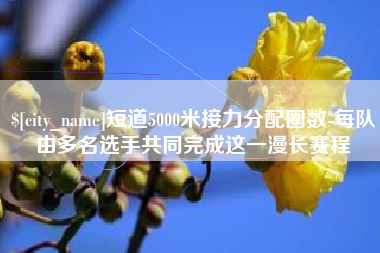 梨树县短道5000米接力分配圈数-每队由多名选手共同完成这一漫长赛程