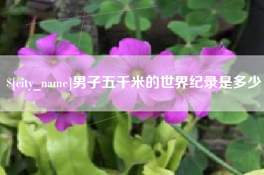 梨树县男子五千米的世界纪录是多少