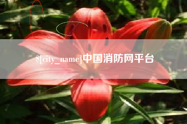 梨树县中国消防网平台