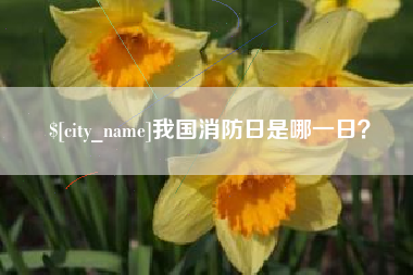 梨树县我国消防日是哪一日？