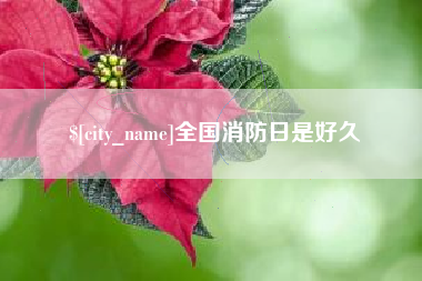 梨树县全国消防日是好久