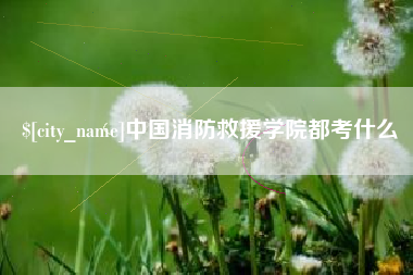 梨树县中国消防救援学院都考什么