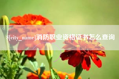 梨树县消防职业资格证书怎么查询