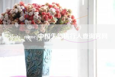 梨树县中国失信执行人查询官网